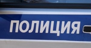В Малоярославецком районе сотрудники полиции установили обстоятельства хищения норковой шубы